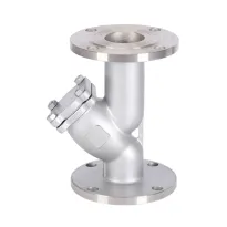 DIN Standard Flange Standard Y Strainer
