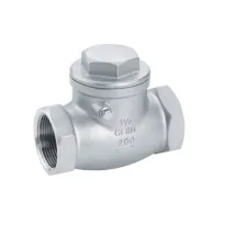 Casting Thread Swing Check Valve
