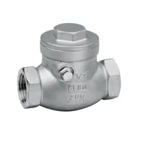 Casting Thread Swing Check Valve
