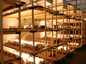 LED Wall Light Norstar