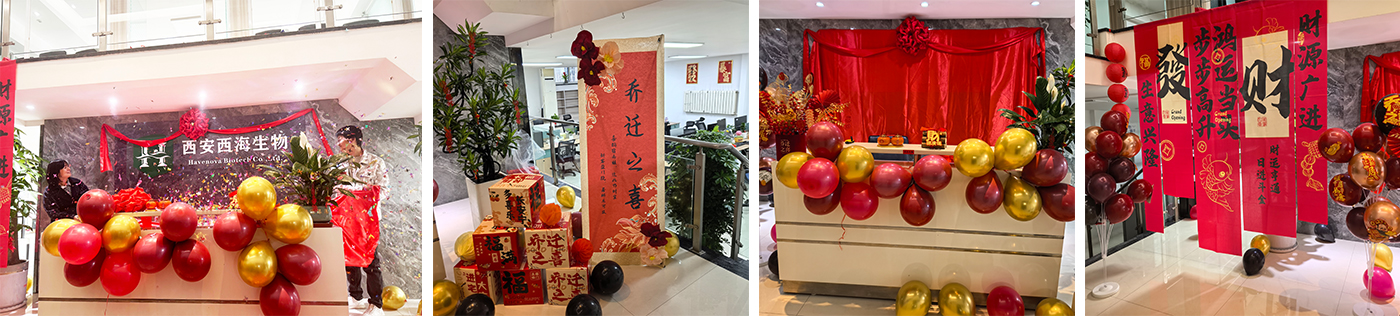 Company Relocates to New Office in Zhangba 1st Road