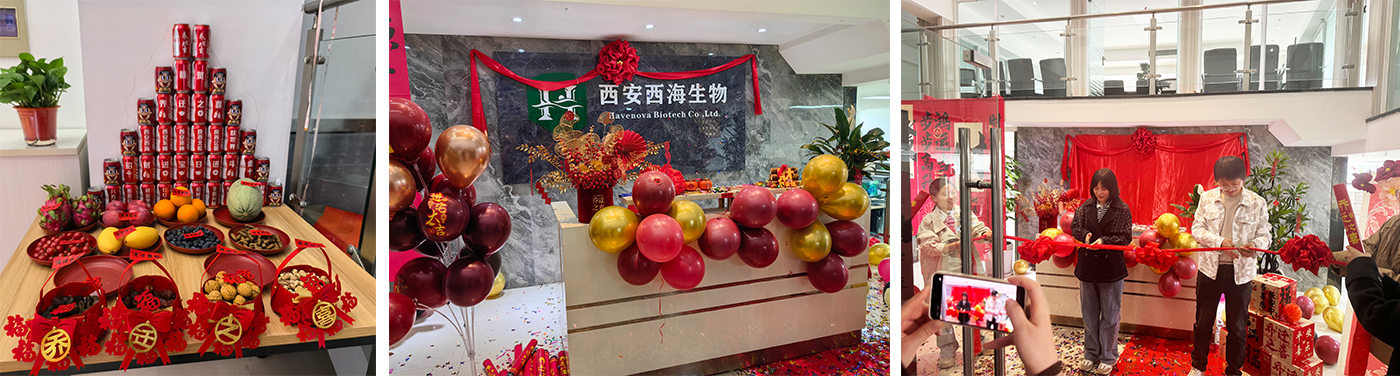 Company Relocates to New Office in Zhangba 1st Road