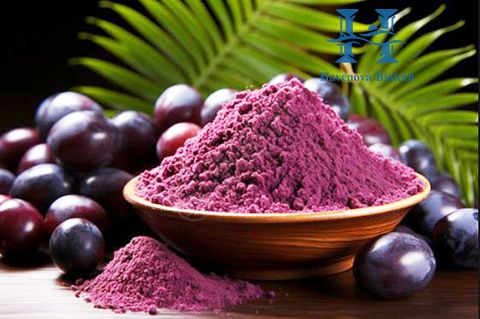 acai berry extract, acai berry extract benefits, acai berry extract ...