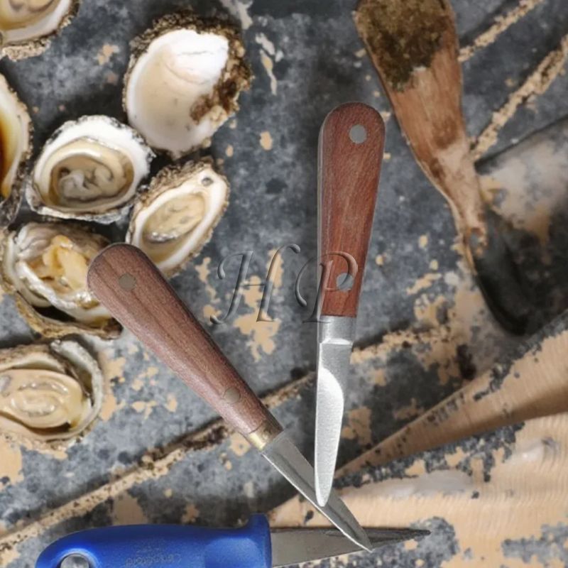 How Long Does Oyster Take to Grow