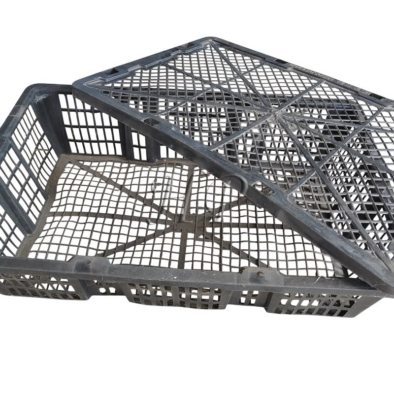 Where to Buy Oyster Cages?