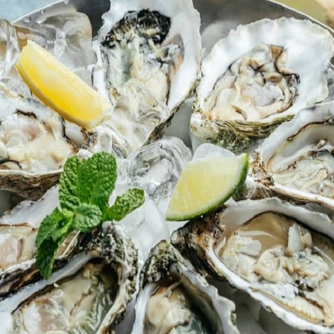 How Do You Grow Oysters