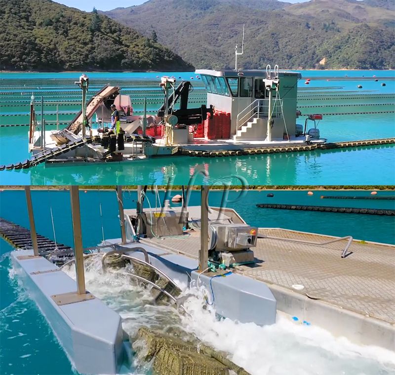 Oyster Farm How Does it Work