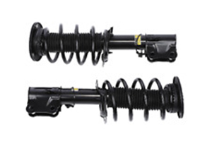 NBZXOT Products Suspension Strut and Coil Spring Assembly for Ford Fiesta