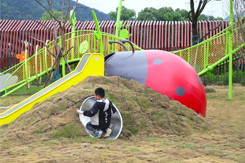 Enter the wonderful world of ancient trees and secret forests - Xunzhang Adventure Park