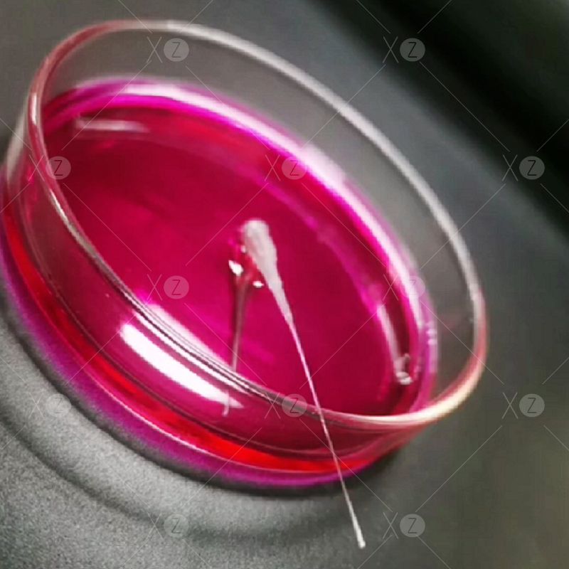 Sample Loading Tip Ultra-Fine Gel Loading Tips | Low retention Pipette Tips pro DNA ...