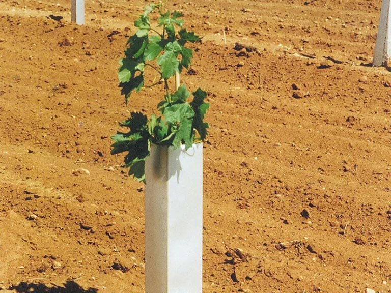 Agriculture