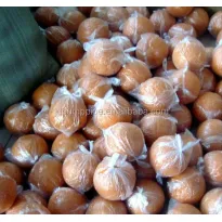 Bolas de limpeza de bomba de concreto