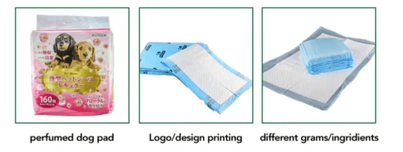 Lemmikloom Mat