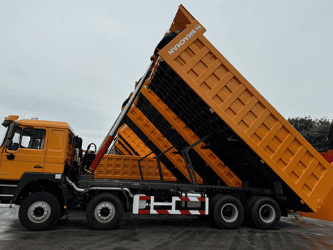 Mali Customer Orders 20 Units Shacman Dump Trucks