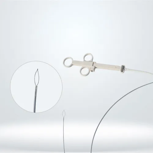 Disposable Polypectomy Snares