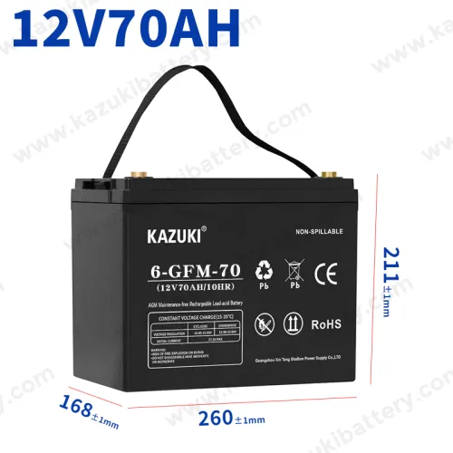 12V Sealed Lead Acid Battery