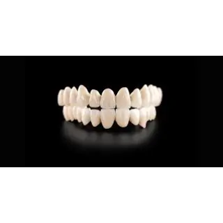 A full-contour translucent zirconia crown is more suited for areas that need to be visually pleasing yet are subjected to far less biting and grinding forces.