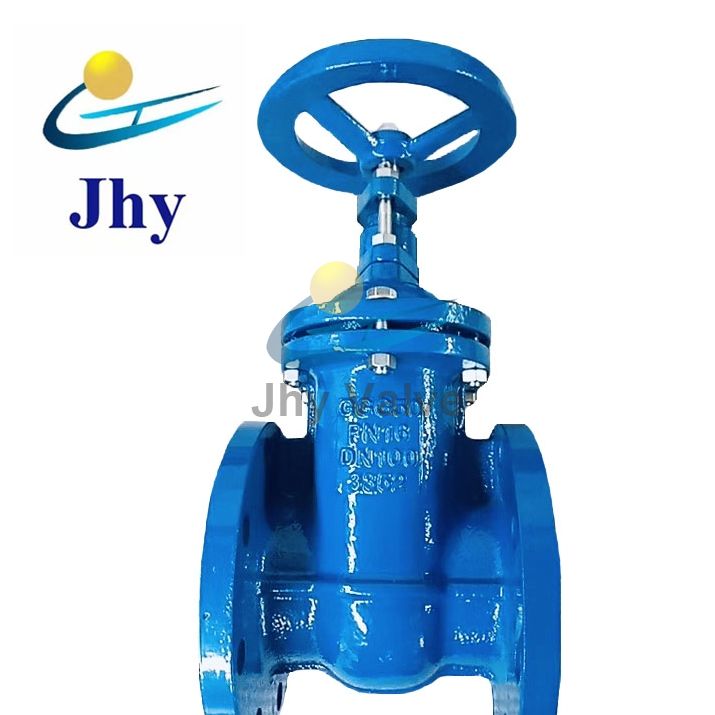 Cast iron gate valve
