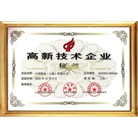 High and new technology Enterprise certificate-shanghai