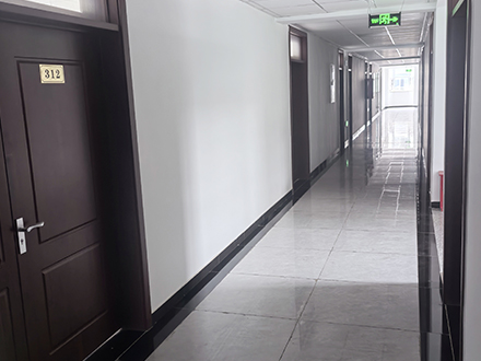 Crystal Velvet Carpet Xinhui Daye