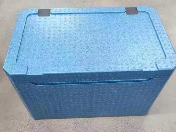 Cold Chain & Home Appliance