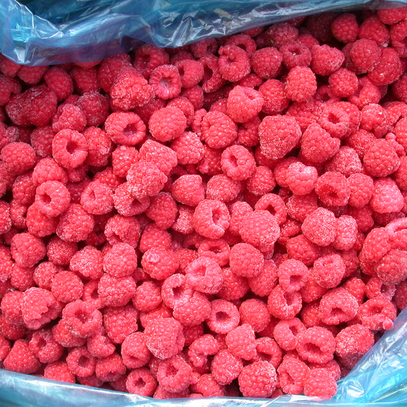 Iqf Raspberry IQF Raspberry | Individually Quick Frozen Raspberries | Frozen Fruit ...