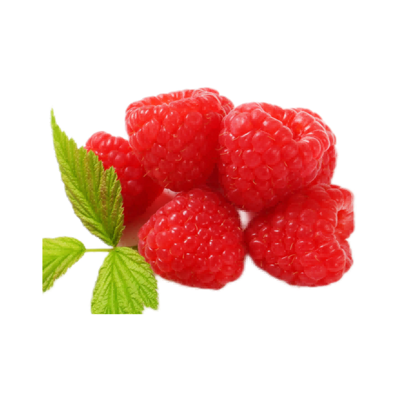 Iqf Raspberry IQF Raspberry | Individually Quick Frozen Raspberries | Frozen Fruit ...