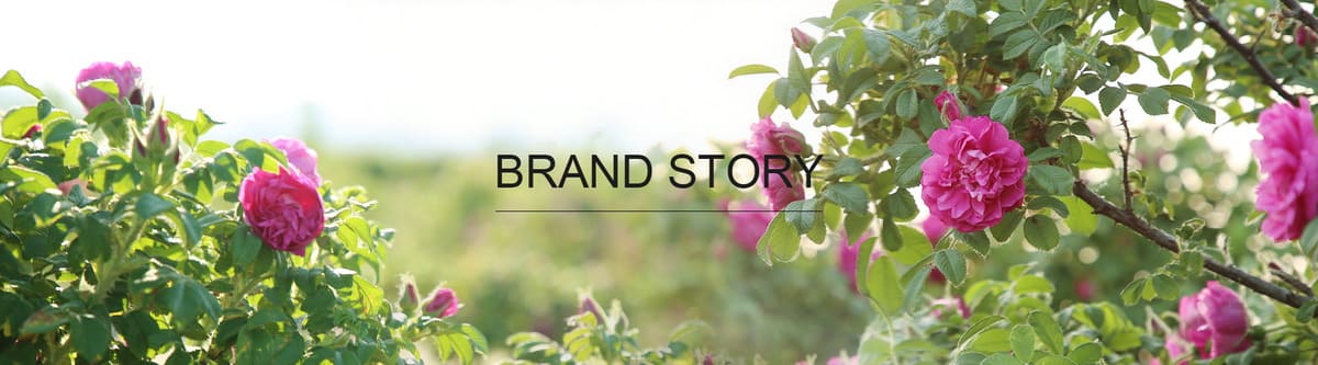Brand Story