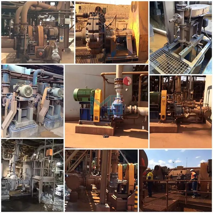 Vertical Slurry Pump