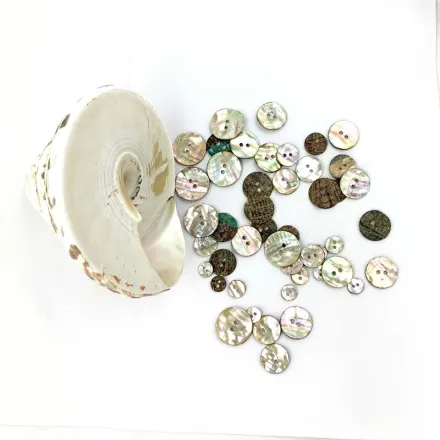 Abalone schelpknoppen