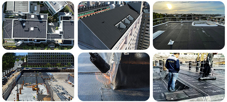 APP Modified Bitumen Waterproof Membrane, Roof Waterproofing