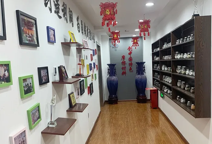 Shijiazhuang Shuo Ruo Technology Co., Ltd.