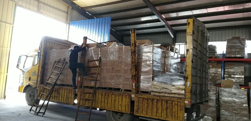 Shijiazhuang Shuo Ruo Technology Co., Ltd.