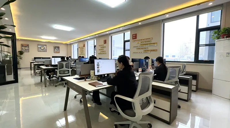 Özelleştirme Süreci