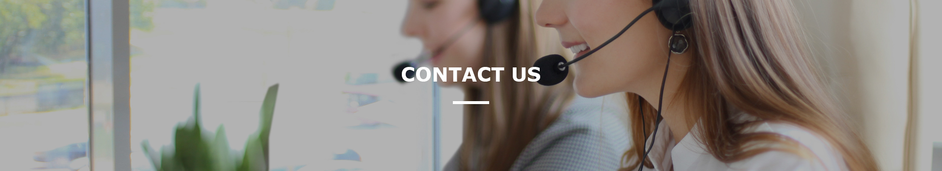 Shijiazhuang Jizhu International Trade Co., Ltd