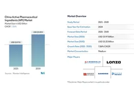 China Active Pharmaceutical Ingredients (API) Market Size
