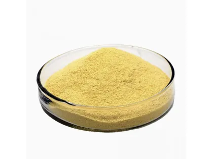 Niclosamide API: From Anthelmintic to Potential Cancer Therapy