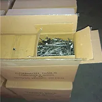 Polished-Common-Nails-in-Carton