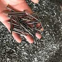 polished common nails
