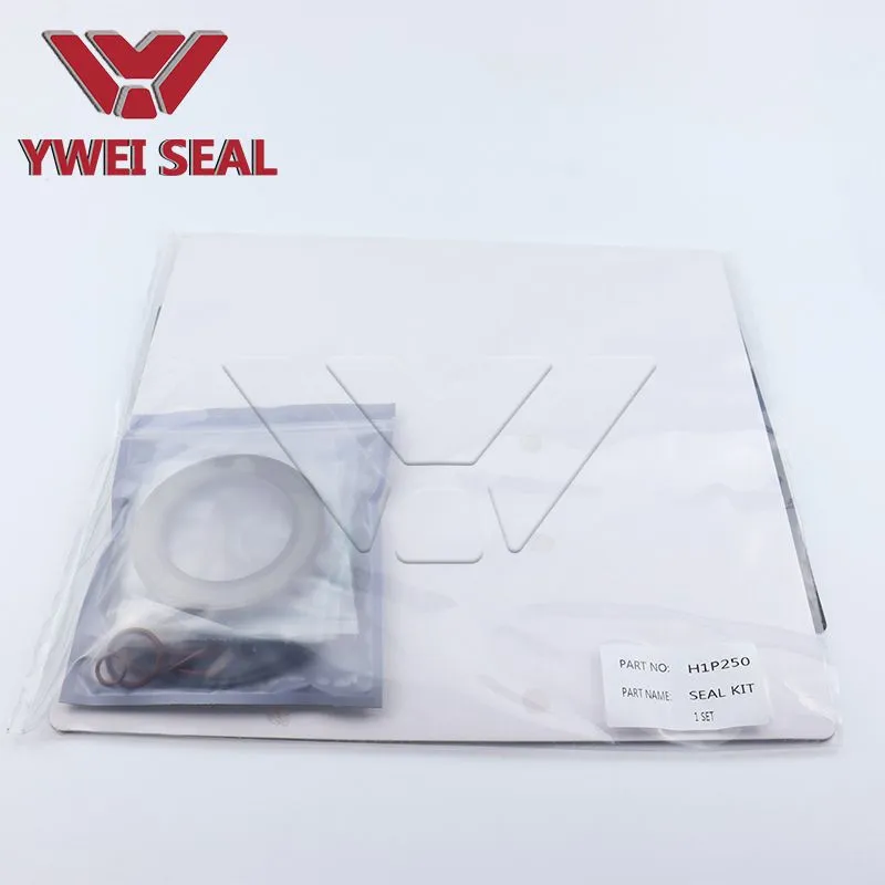 11172555 Kit de Sellado de Revisión H1B250