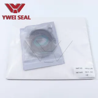 11178088 Revizyon Contası Kiti H1p115-130 Danfoss