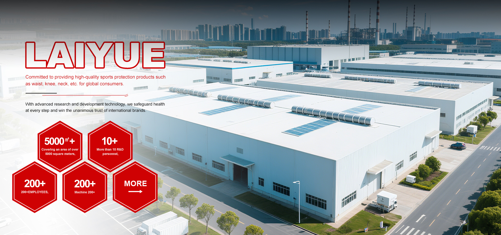 Laiyue Huanqiu Trading Hengshui Co., Ltd