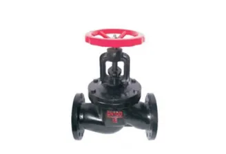Gate Valve VS Globe Valve-Which is the Best for You?