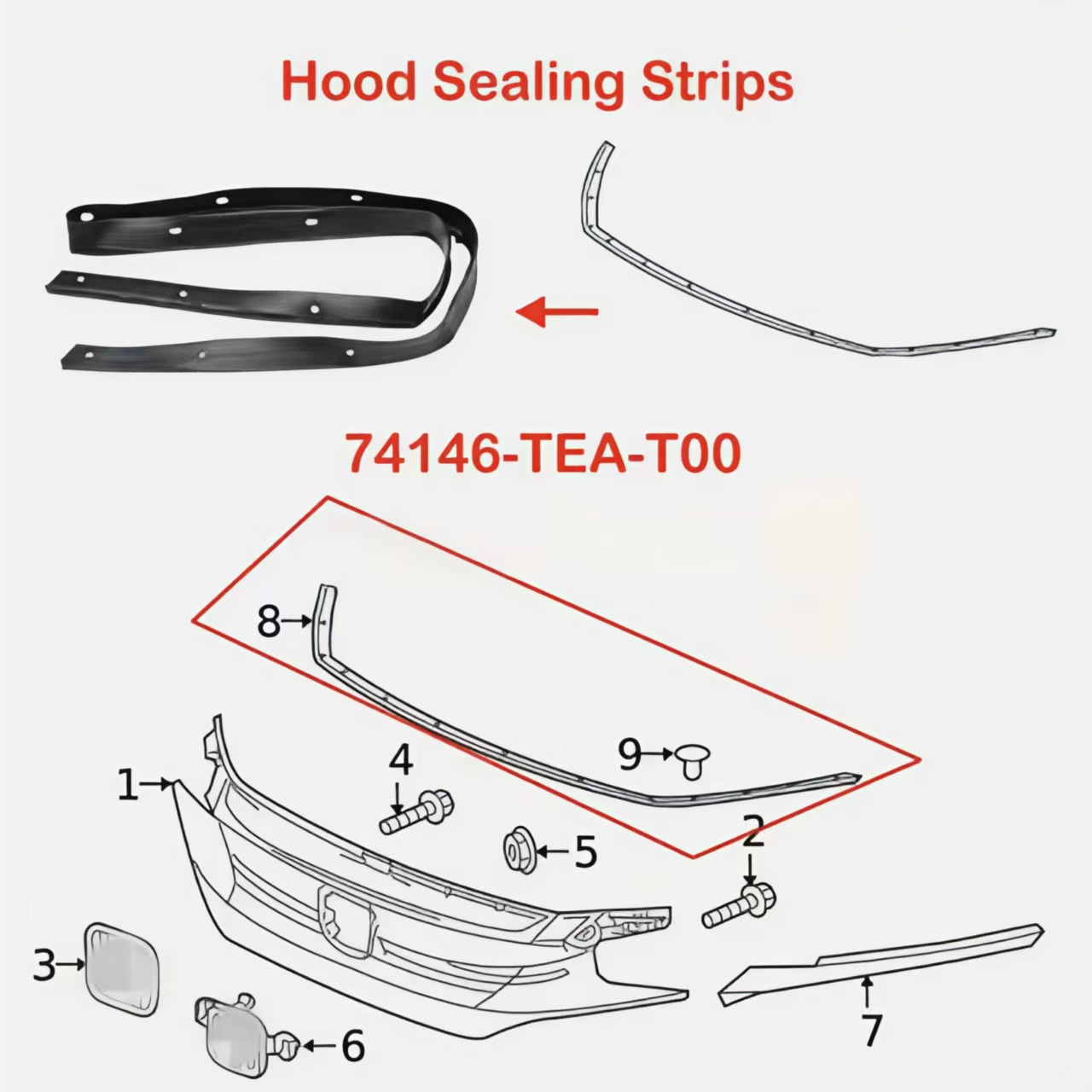 ត្រាកៅស៊ូរបស់ក្រុមហ៊ុនក្រុមហ៊ុនហុងដាស៊ីធីស៊ីធី 2016-2021