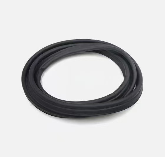 2006-2009 жж. Sylphy үшін автомобильдің магистральдық лид