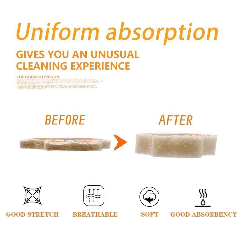 Biodegradable Easy Cleaning Cellulose Sponge