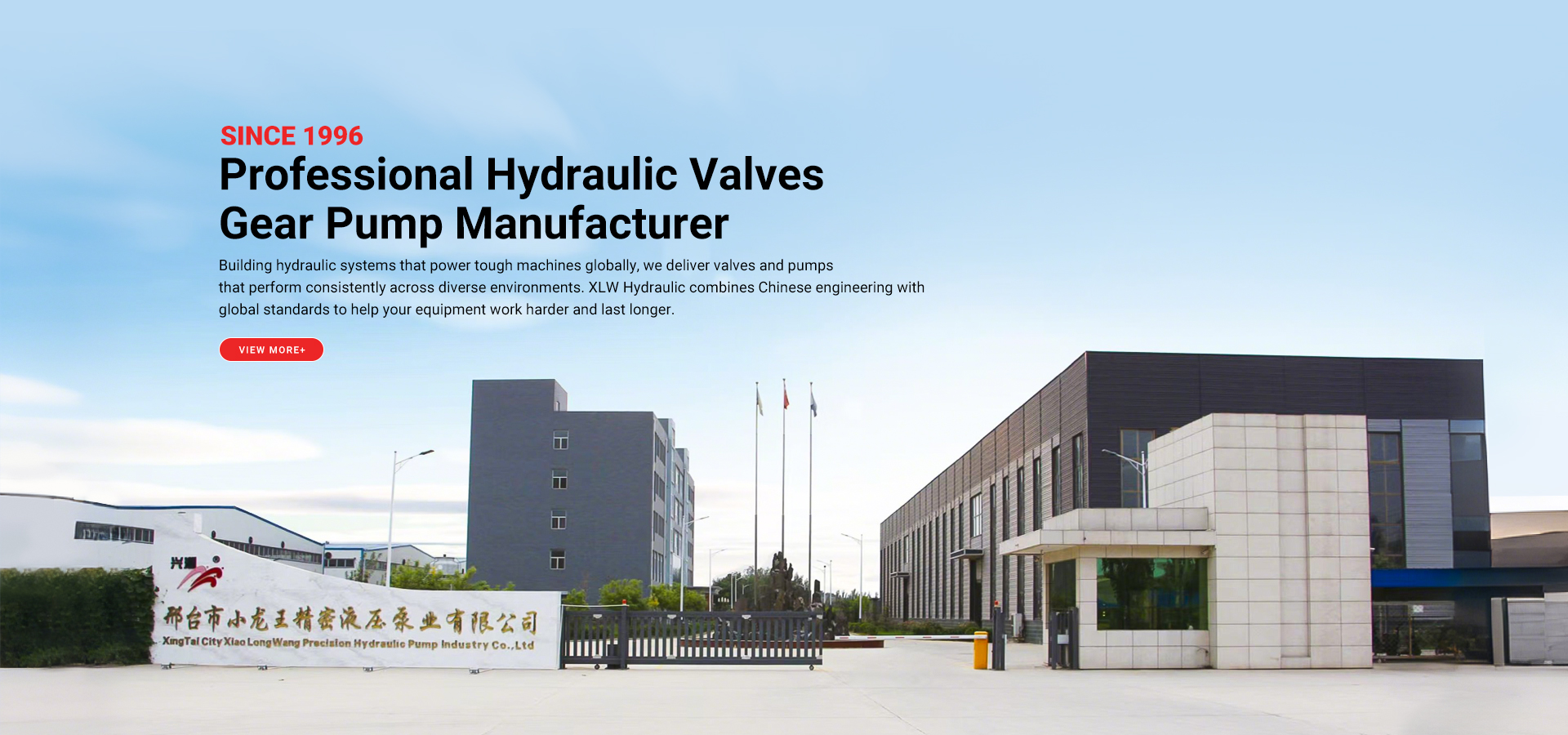 Professional Hydraulic Valves Gear Pump Manufacturer