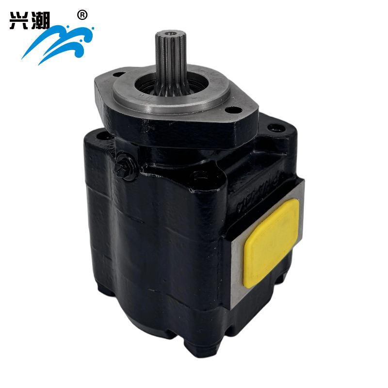 Cast Iron Motors – PGM031 Series