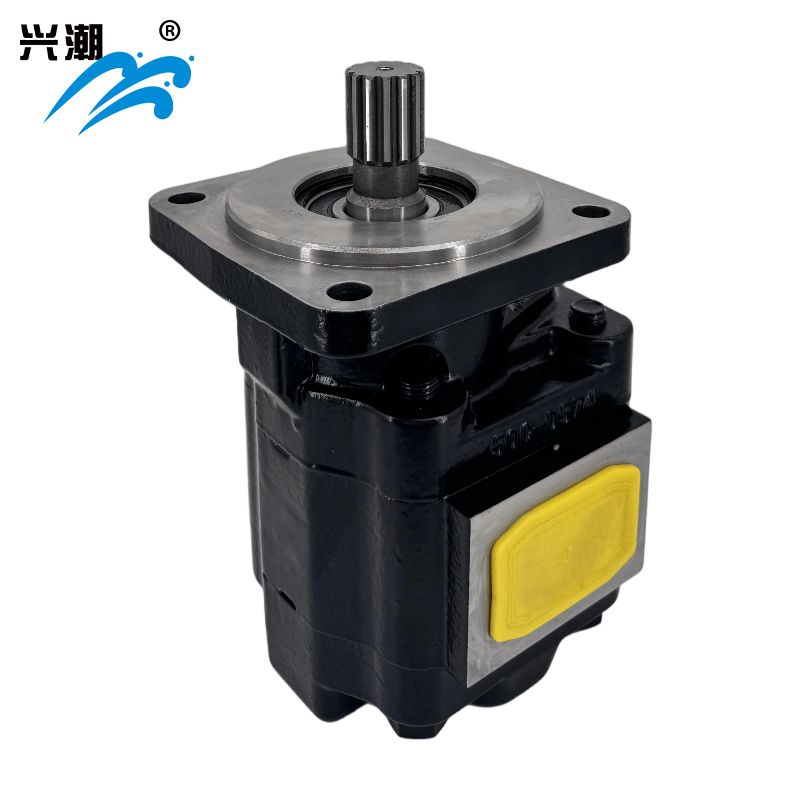 Cast Iron Motors – PGM051 Series