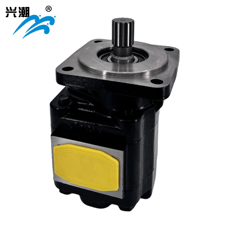 Cast Iron Motors – PGM051 Series